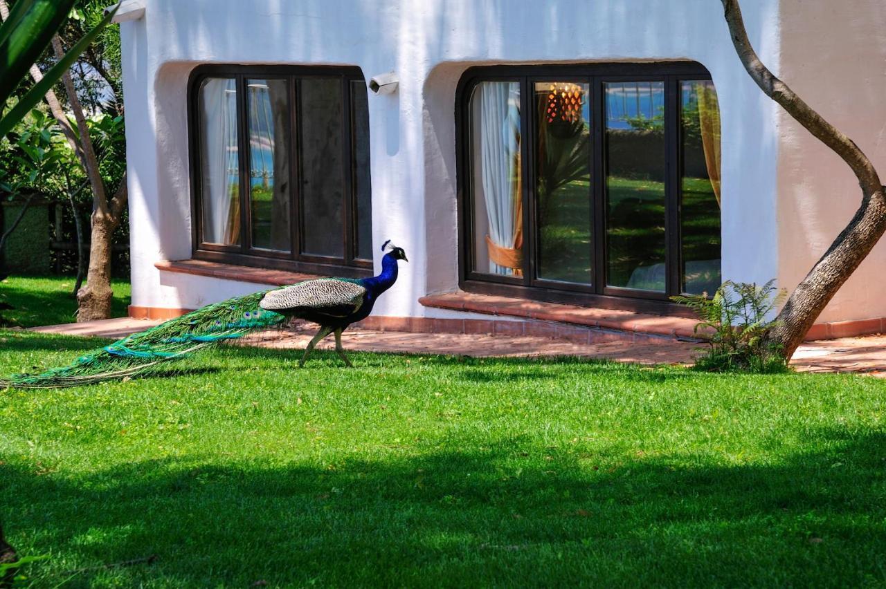 Arbatax Park Resort - Ville Del Parco Eksteriør billede